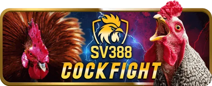 n88 Casino bảo vệ người chơi